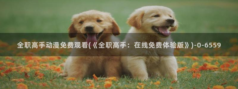 星辰变动漫：全职高手动漫免费观看(《全职高手：在线免费体验版》)