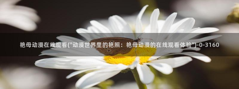 乐乐动漫网