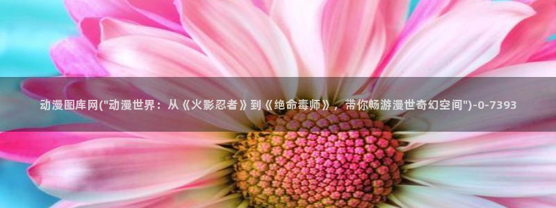 动漫日记
