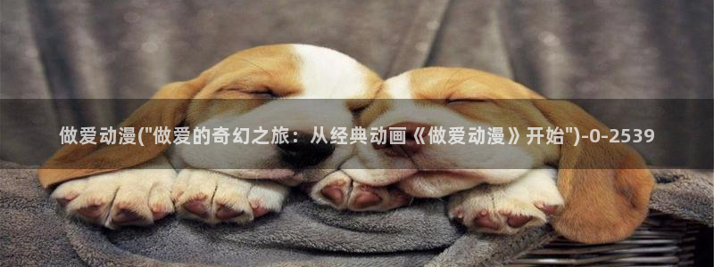 女装正太动漫