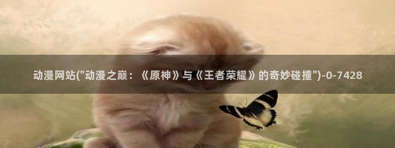 看动漫