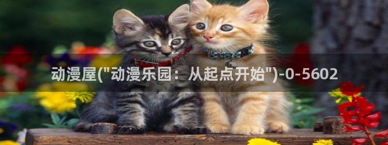 动漫影院